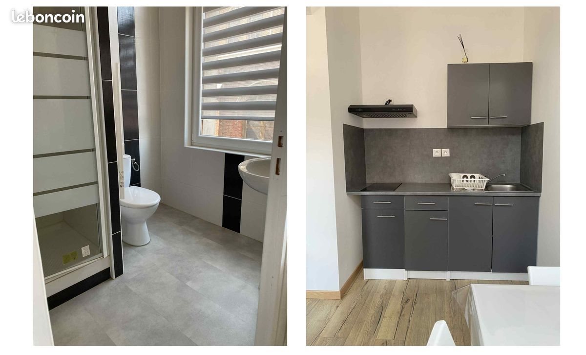 Appartement à louer, 29m², Ronchin