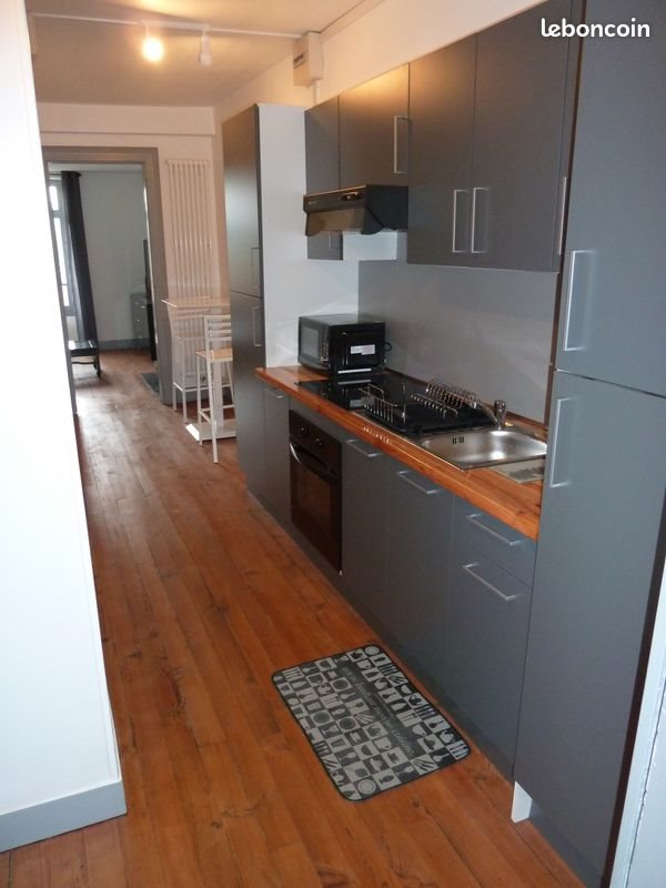 Appartement à louer, 48m², Pau