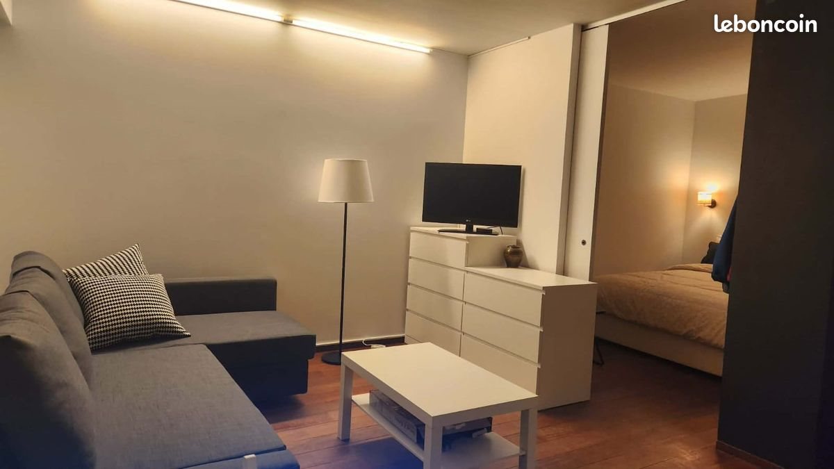 Appartement à louer, 40m², Charenton-le-Pont