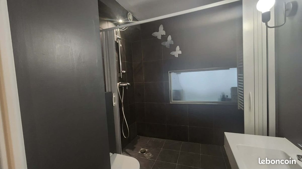 Appartement à louer, 40m², Charenton-le-Pont