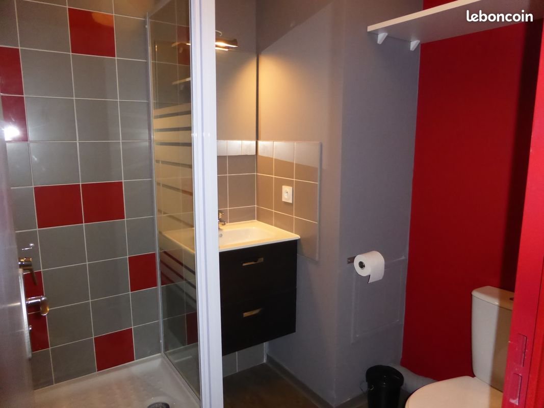 Appartement à louer, 19m², Limonest