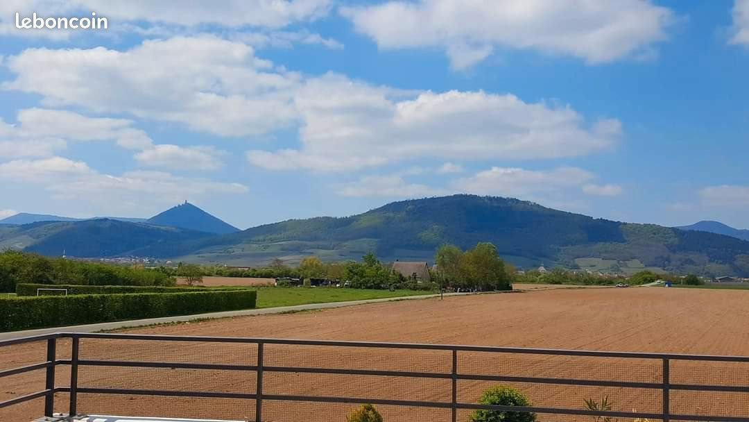 Appartement à louer, 58m², Sélestat