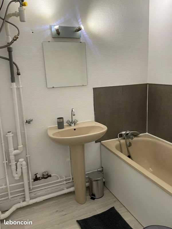 Appartement à louer, 20m², Lille