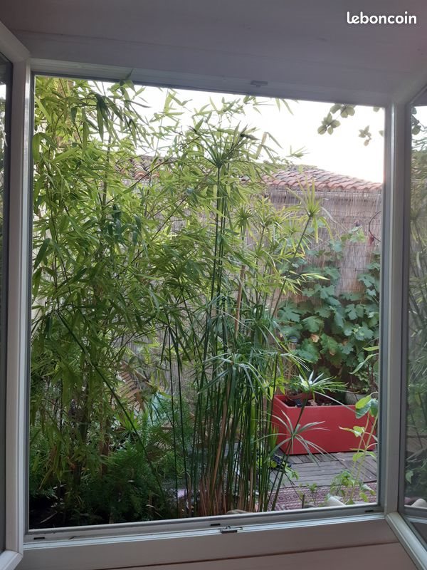 Appartement à louer, 37m², Sète