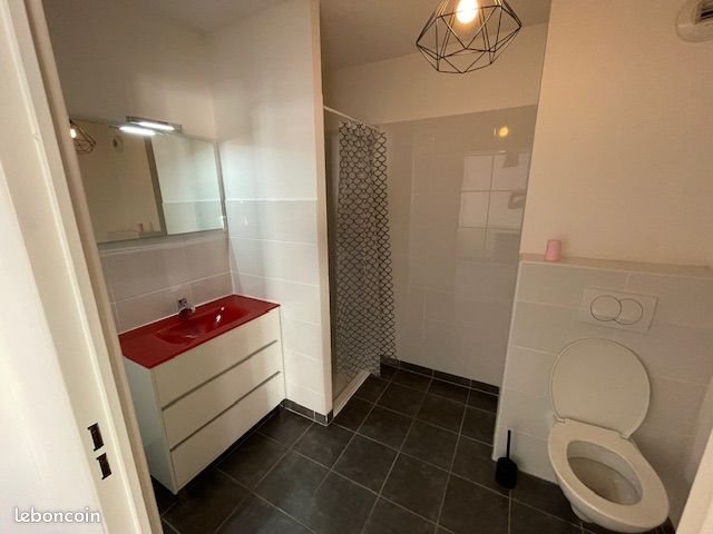 Appartement à louer, 32m², Saint-Etienne