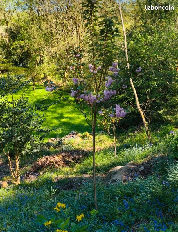 Maison à vendre, 100m², Cugand