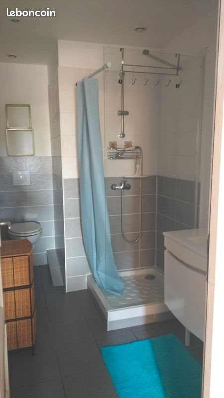 Appartement à louer, 40m², Blagnac
