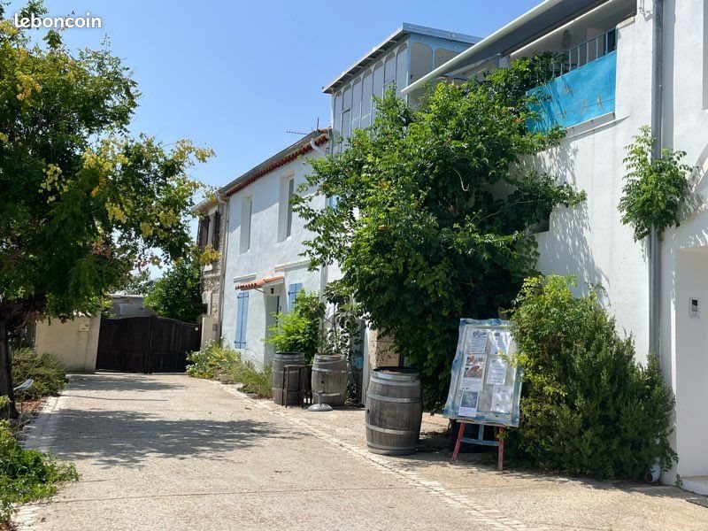 Maison à louer, 65m², Trèbes