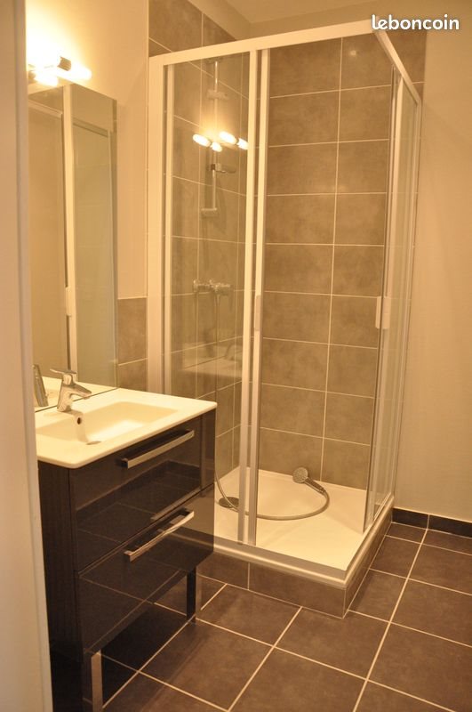 Appartement à louer, 41m², Saint-Etienne