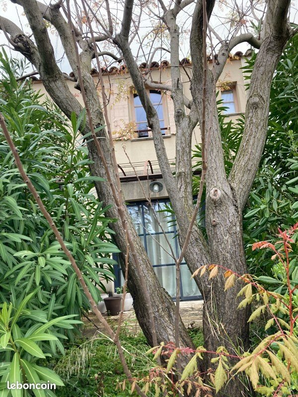 Maison à vendre, 57m², Saint-Laurent-de-la-Cabrerisse