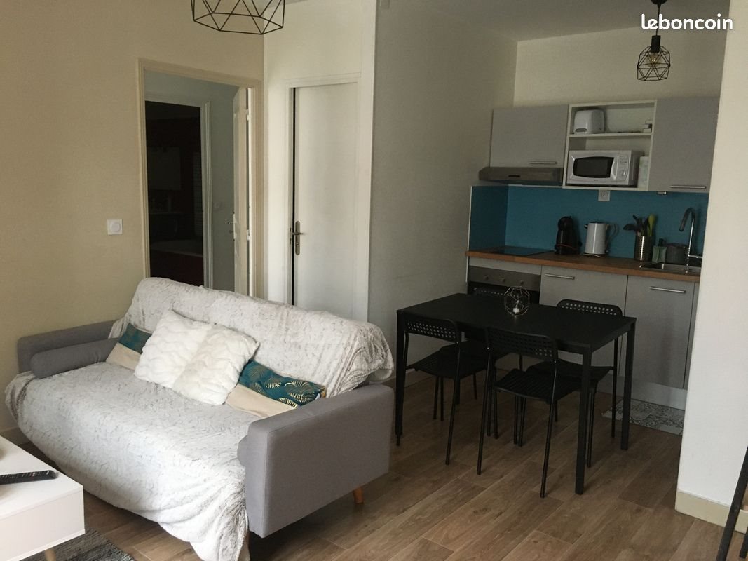 Appartement à louer, 35m², Le Puy-en-Velay