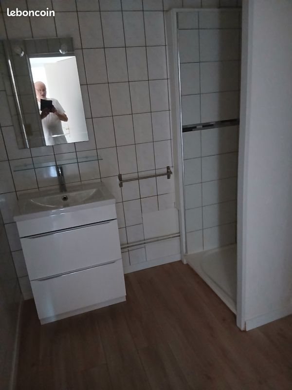 Appartement à louer, 66m², Saint-Avold