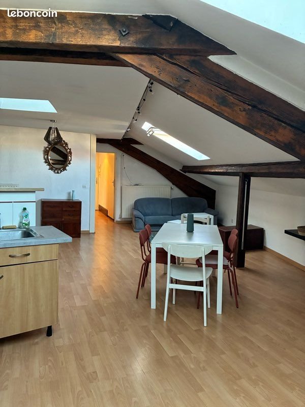 Appartement à louer, 56m², Nancy