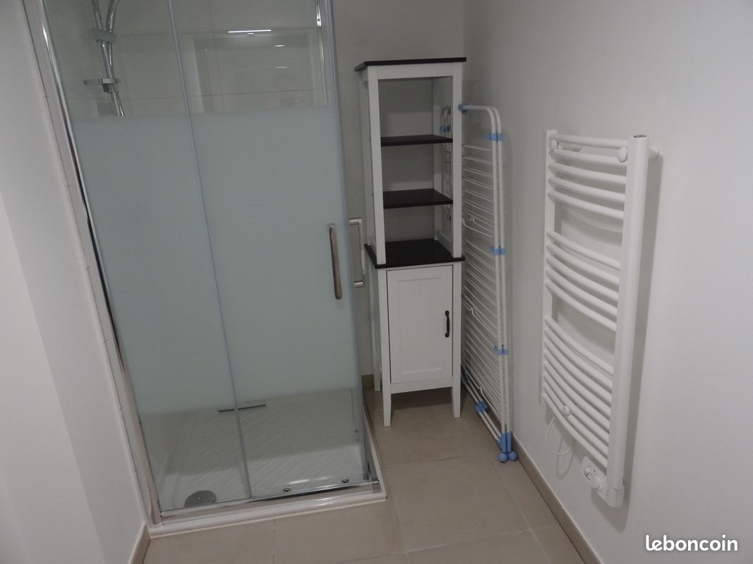 Appartement à louer, 28m², Saint-Etienne