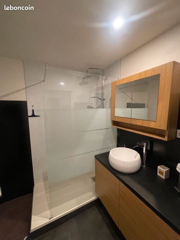 Appartement à louer, 50m², Nancy