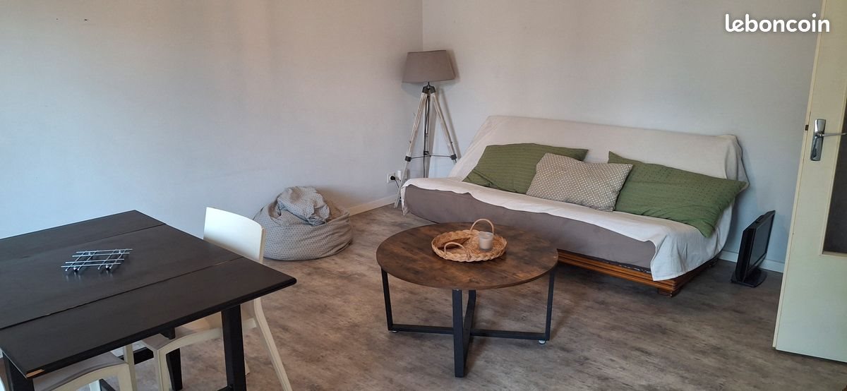 Appartement à louer, 46m², Angers