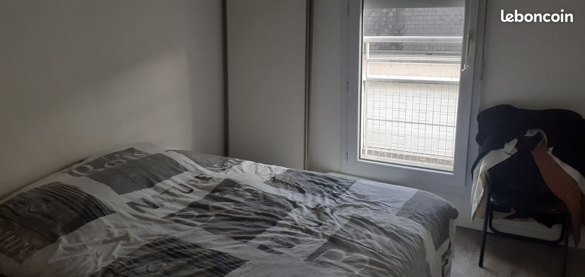 Appartement à louer, 46m², Angers