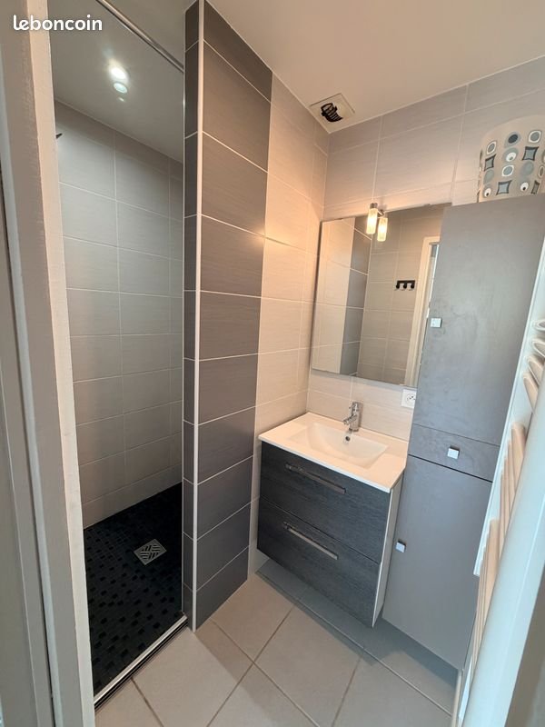 Appartement à louer, 40m², Niort