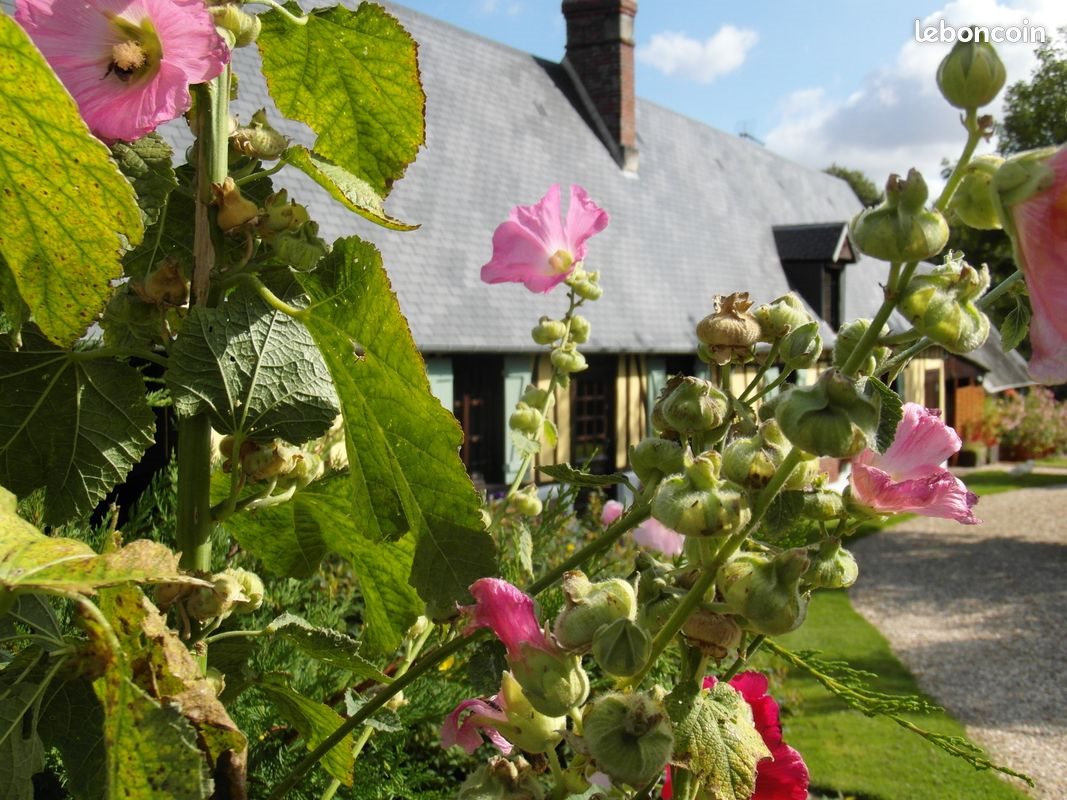 Maison à vendre, 130m², Harcourt