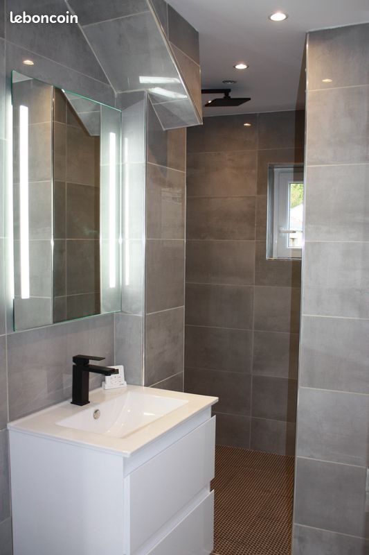 Appartement à louer, 46m², Suresnes