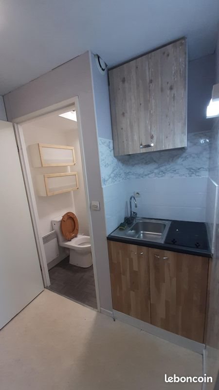 Appartement à louer, 19m², Villeurbanne