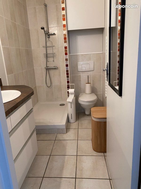 Appartement à louer, 26m², Saint-Etienne