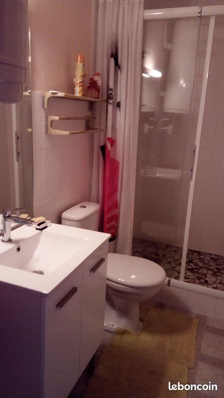 Appartement à vendre, 38m², Besse-et-Saint-Anastaise