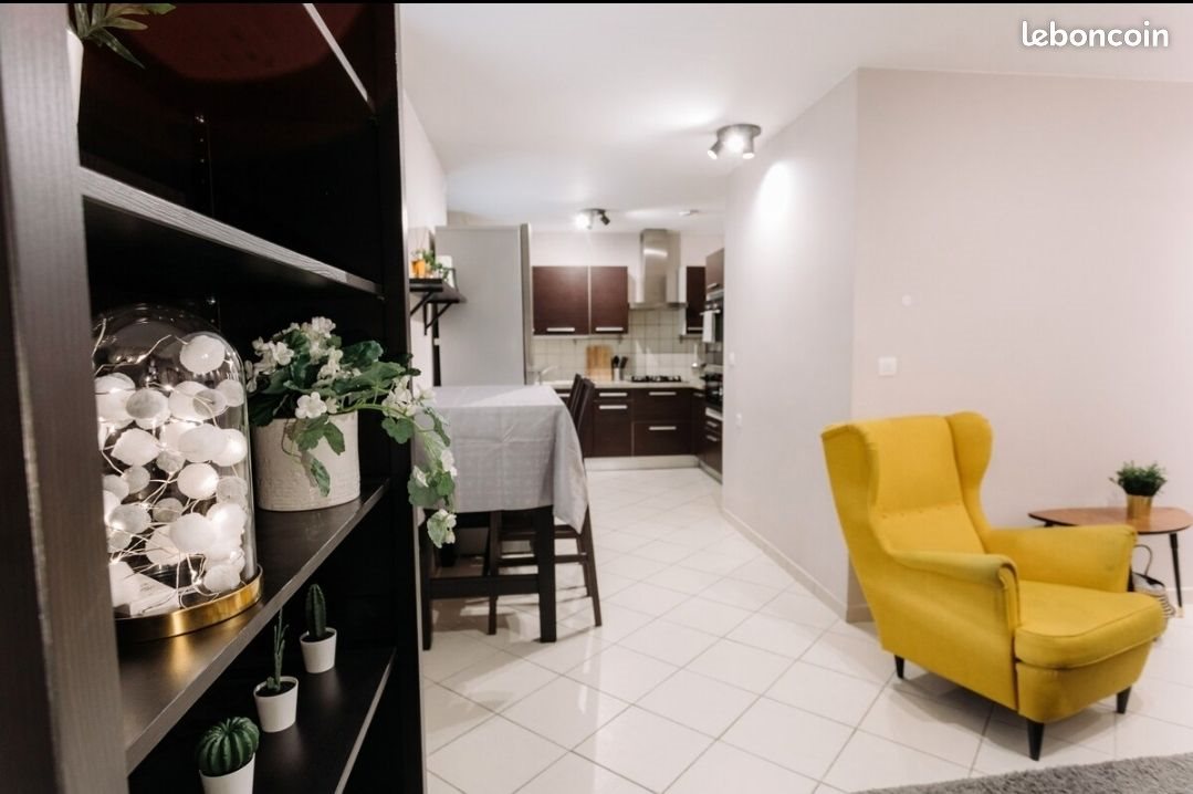 Appartement à louer, 47m², Saint-Étienne