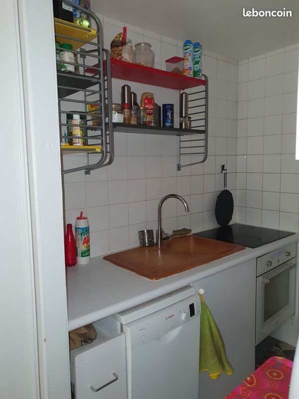 Appartement à louer, 40m², Lyon 1er