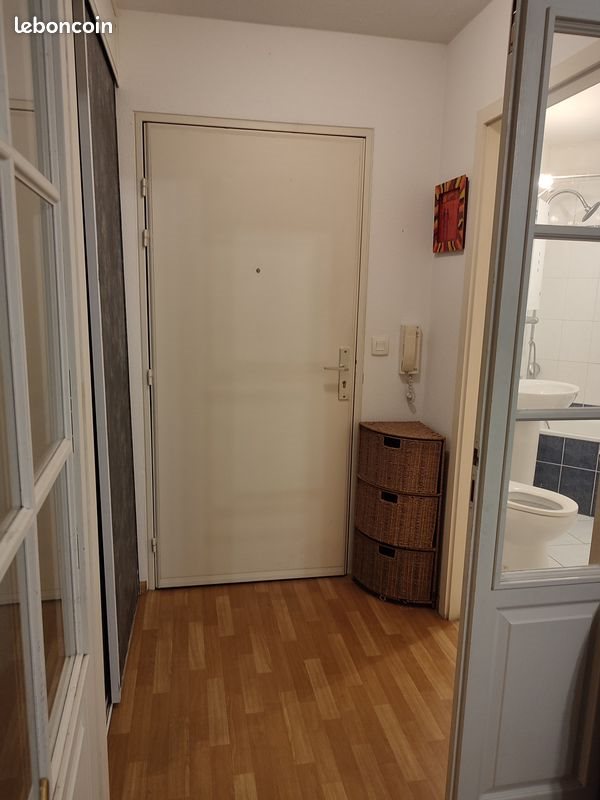 Appartement à louer, 31m², Bischheim