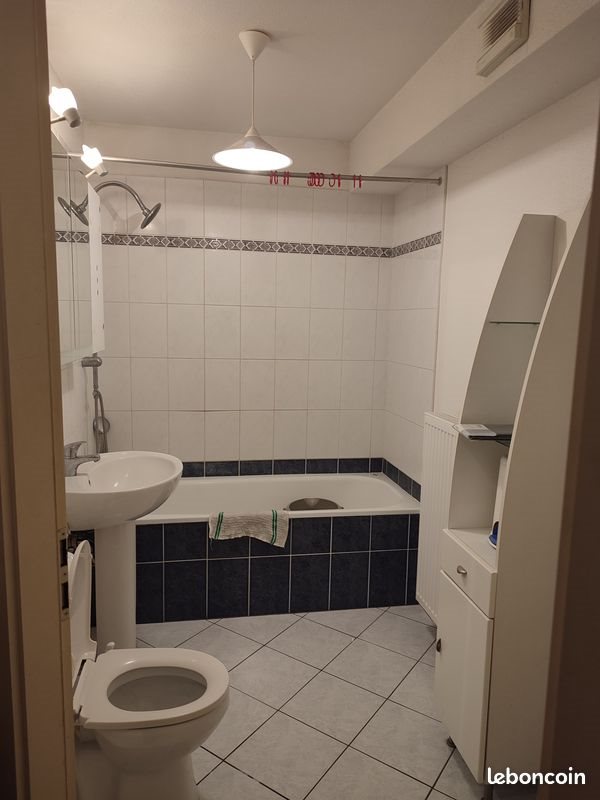 Appartement à louer, 31m², Bischheim