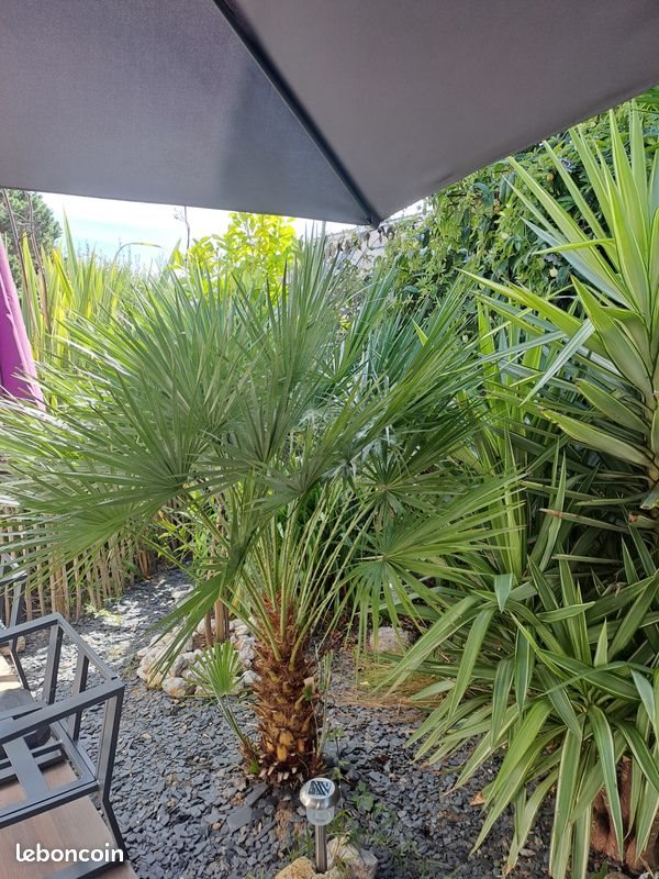 Maison à vendre, 140m², Sarzeau