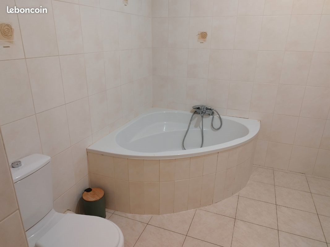 Appartement à louer, 60m², Thionville