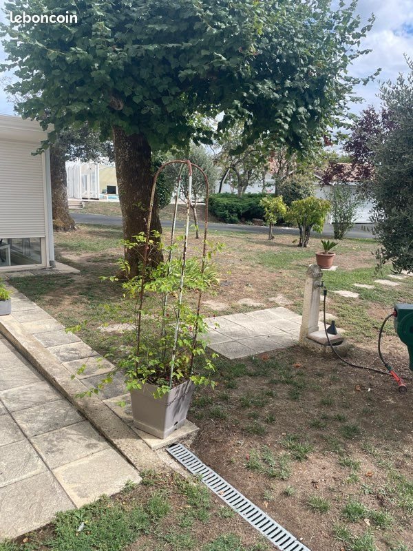 Maison à vendre, 370m², Saint-Genès-de-Castillon