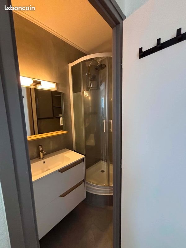 Appartement à louer, 17m², Saint-Martin-d'Hères