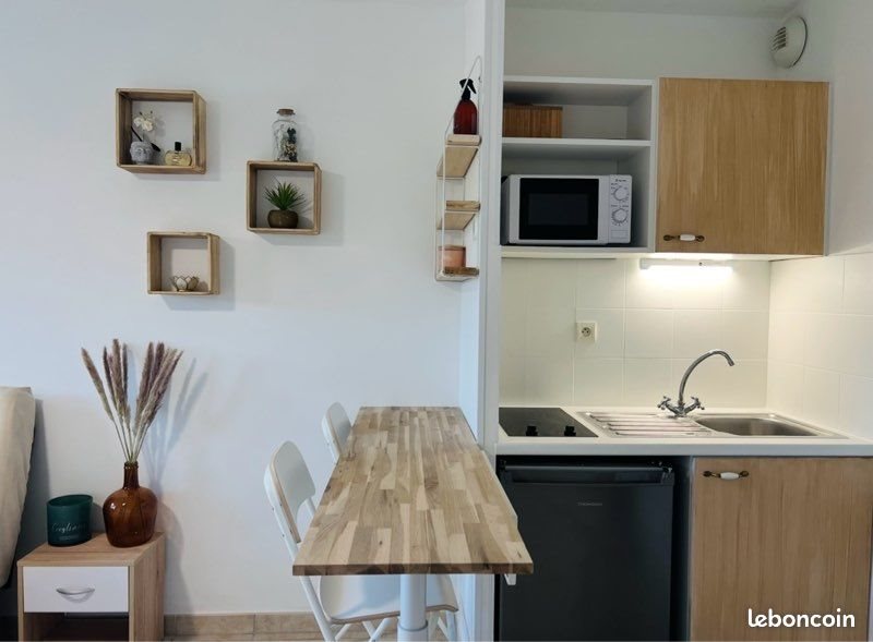 Appartement à louer, 22m², Lattes