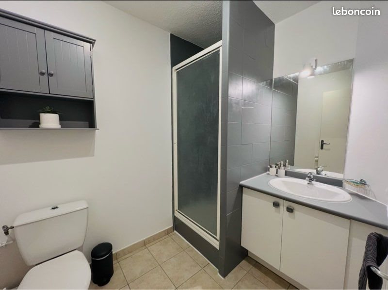Appartement à louer, 22m², Lattes