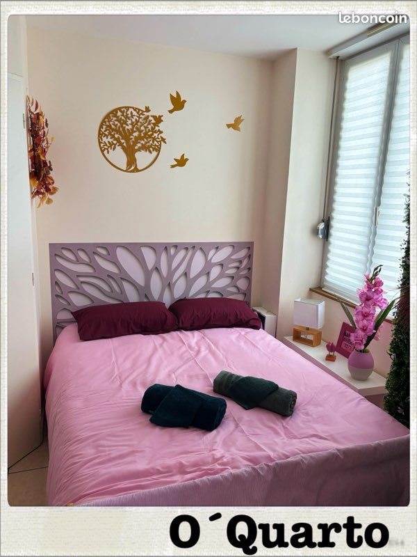 Appartement à louer, 25m², Dijon