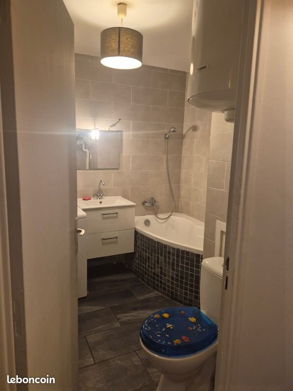 Appartement à louer, 36m², Villeurbanne