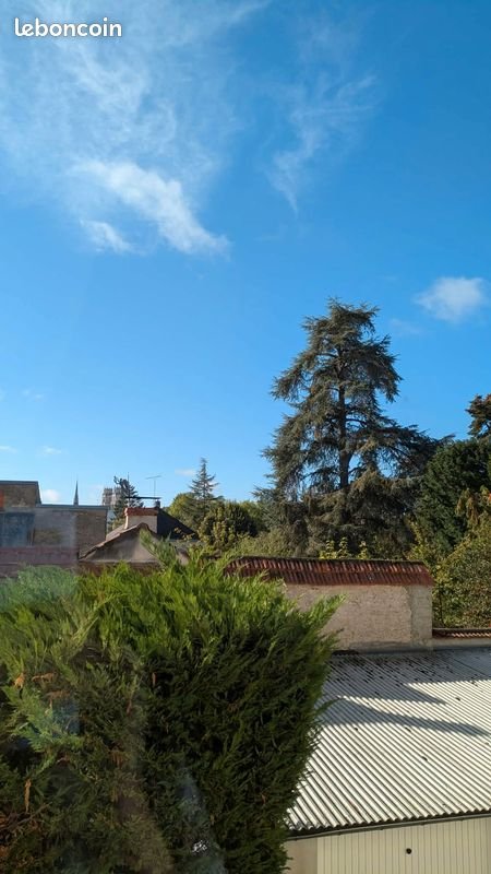 Appartement à louer, 45m², Orléans