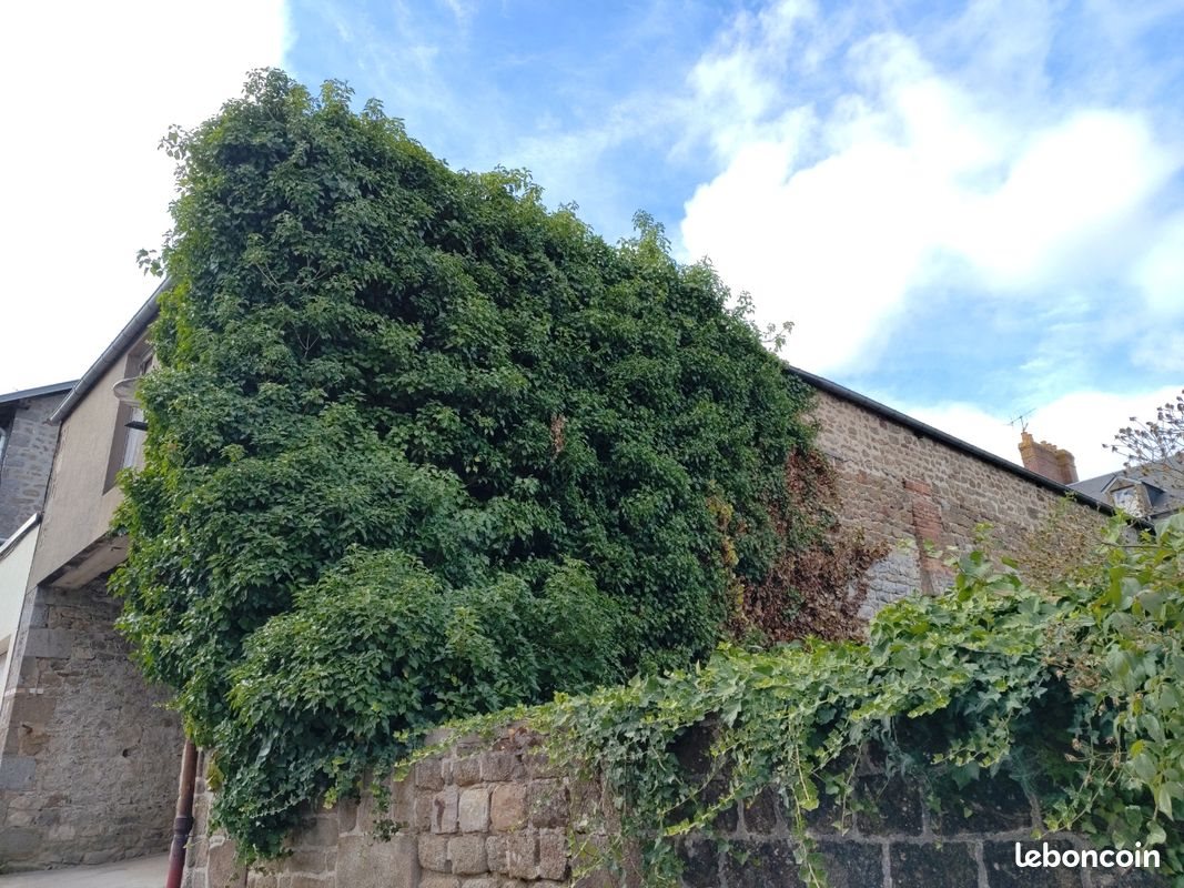 Maison à louer, 400m², La Ferté-Macé