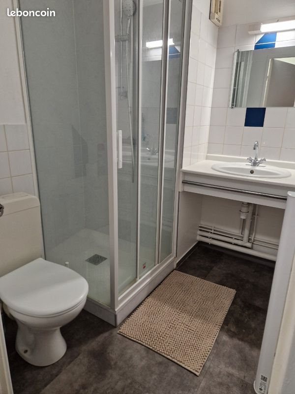 Appartement à louer, 23m², Angers