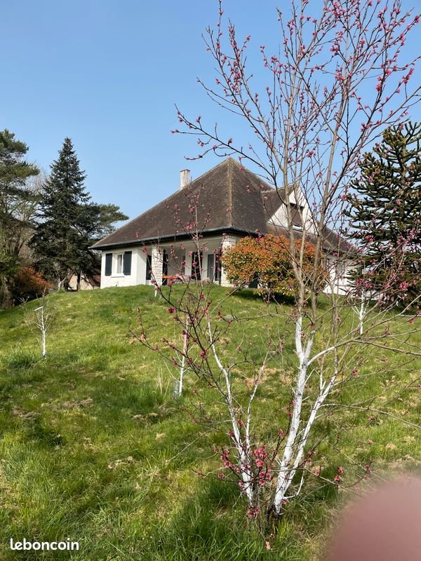 Maison à vendre, 196m², Neung-sur-Beuvron