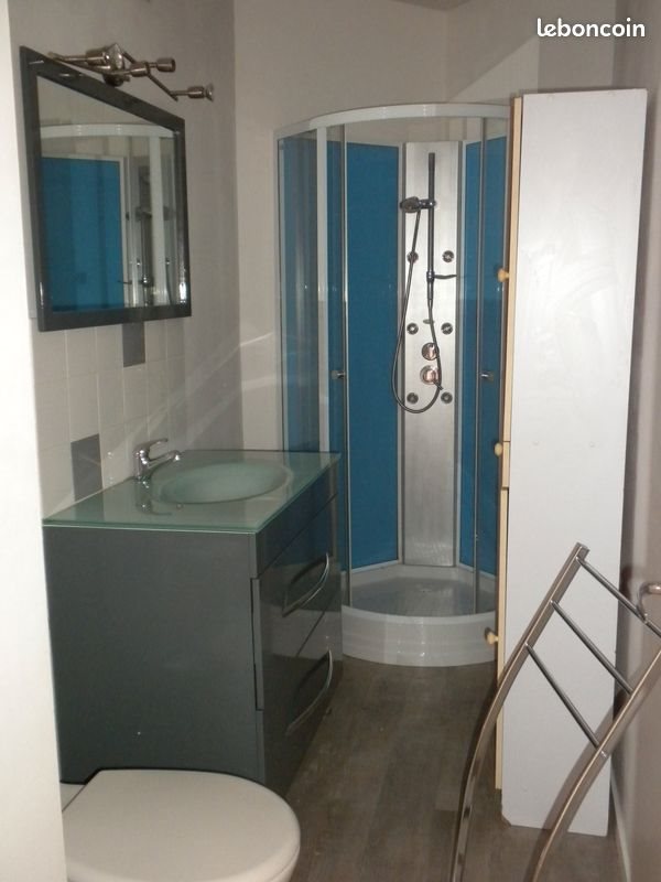 Appartement à louer, 25m², Nancy