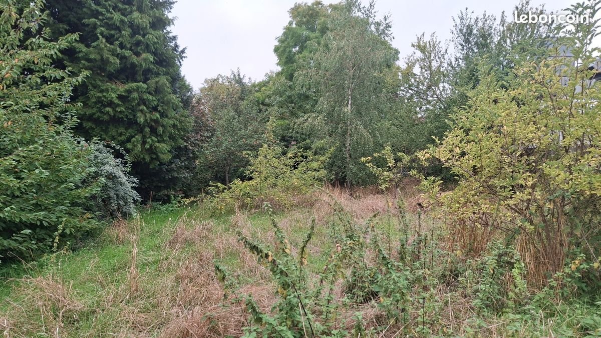 Maison à vendre, 80m², Neuville-Saint-Rémy