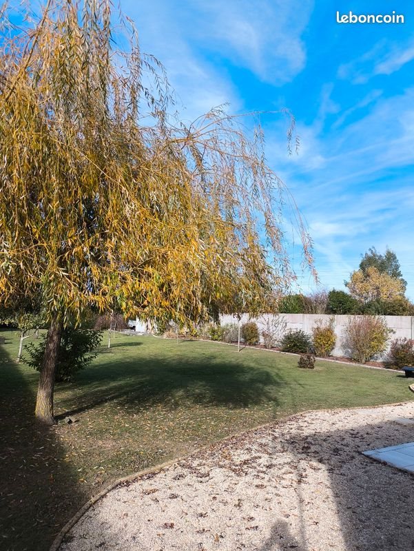 Maison à vendre, 117m², Pannes
