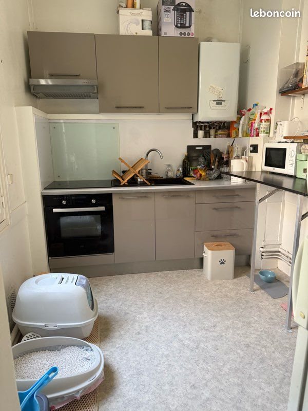 Appartement à louer, 60m², Reims