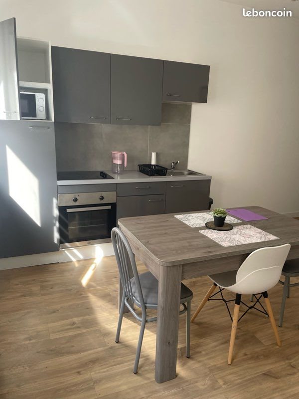 Appartement à louer, 40m², Saint-Étienne
