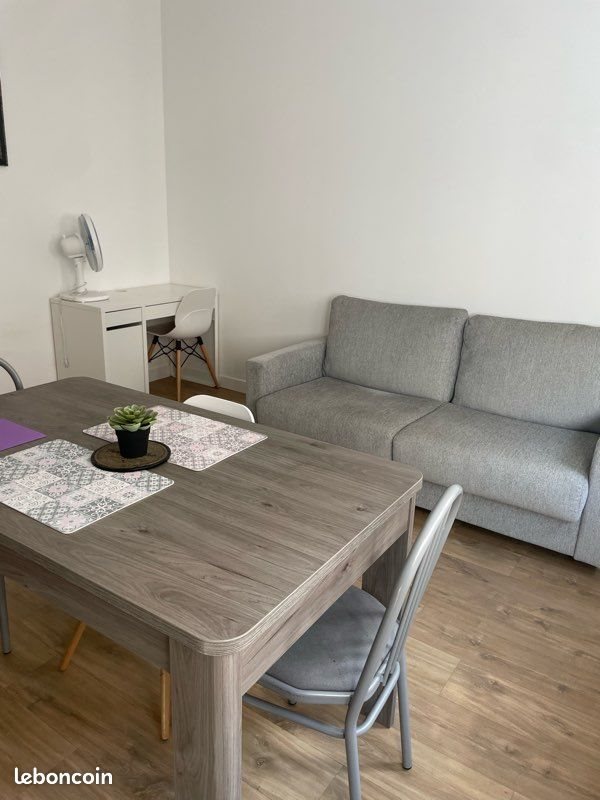 Appartement à louer, 40m², Saint-Étienne