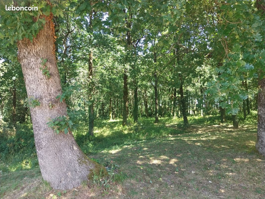 Maison à vendre, 136m², Chenac-Saint-Seurin-d'Uzet